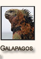 Galapagos